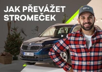 Jak správně převážet vánoční stromek? Jak správně převážet vánoční stromek?