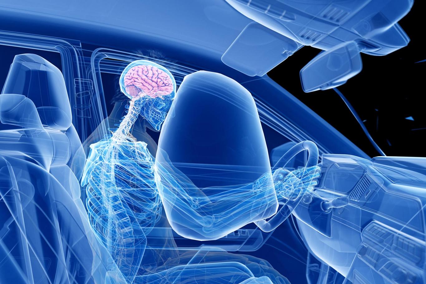 Ilustrace airbagu a nervové soustavy člověka Ilustrace airbagu a nervové soustavy člověka